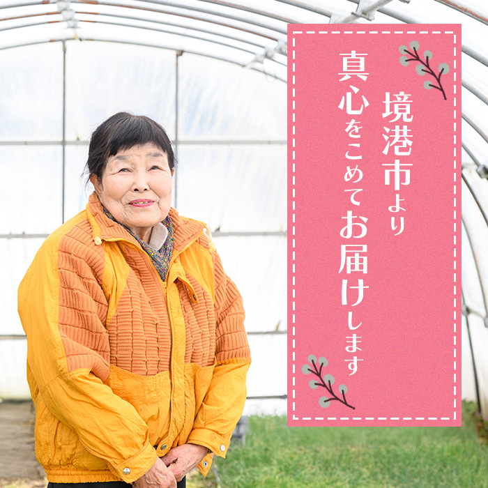 ＜定期便・全3回＞＜2025年10月上旬～2026年2月下旬発送予定＞さといもと紅はるかのセット(約10kg×3回・計約30kg) 【sm-DI005】【大原茂美】