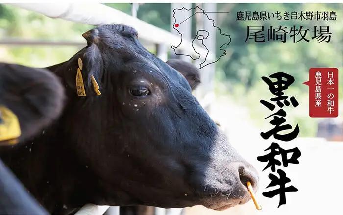 【お中元】牛肉 サーロイン ステーキ ロース(焼肉用・薄切り) 合計 6kg 牛肉【00-030-39-R8OC】
