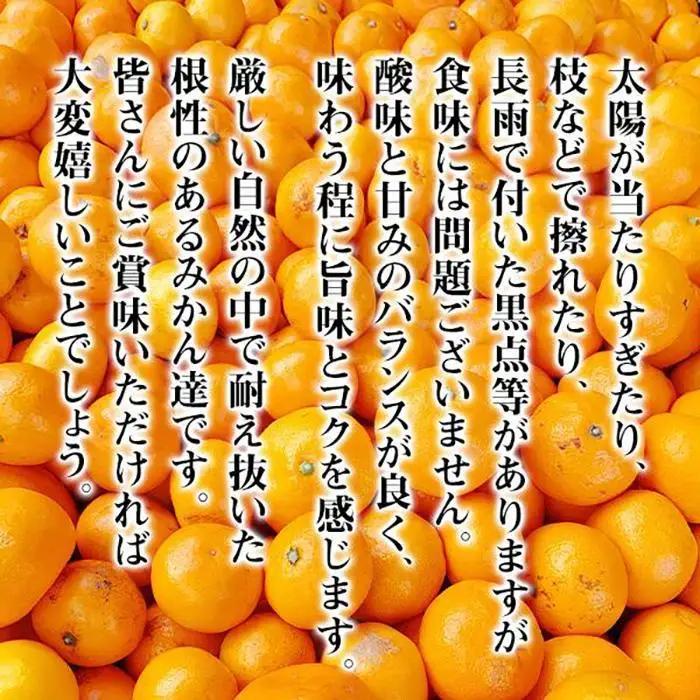 みかん 小玉 有田みかん 約2.3kg  2Sサイズ以下 秀品 優品 混合 家庭用
