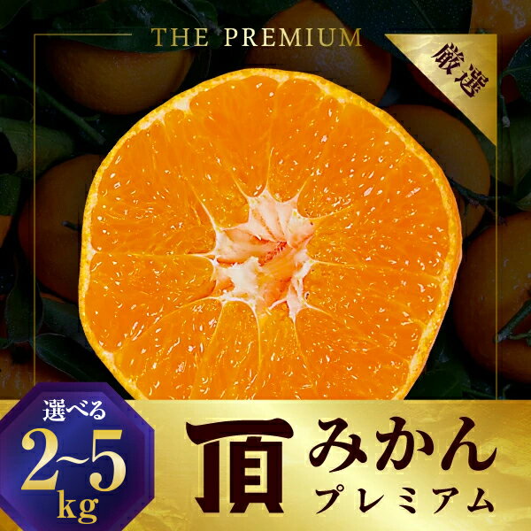 【ふるさと納税】【先行受付】三代目の頂みかんTHEプレミアム【小玉サイズ】 2kg / 3kg / 5kg_ みかん ミカン 蜜柑 小玉 小玉サイズ 頂みかん 果物 くだもの フルーツ 甘い おいしい かんきつ 柑橘 柑橘類 国産 愛媛県 八幡浜市 産地直送 送料無料 【G1088576】 YWTAC010