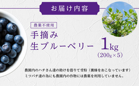 【農薬不使用】 手摘み生ブルーベリー 1kg