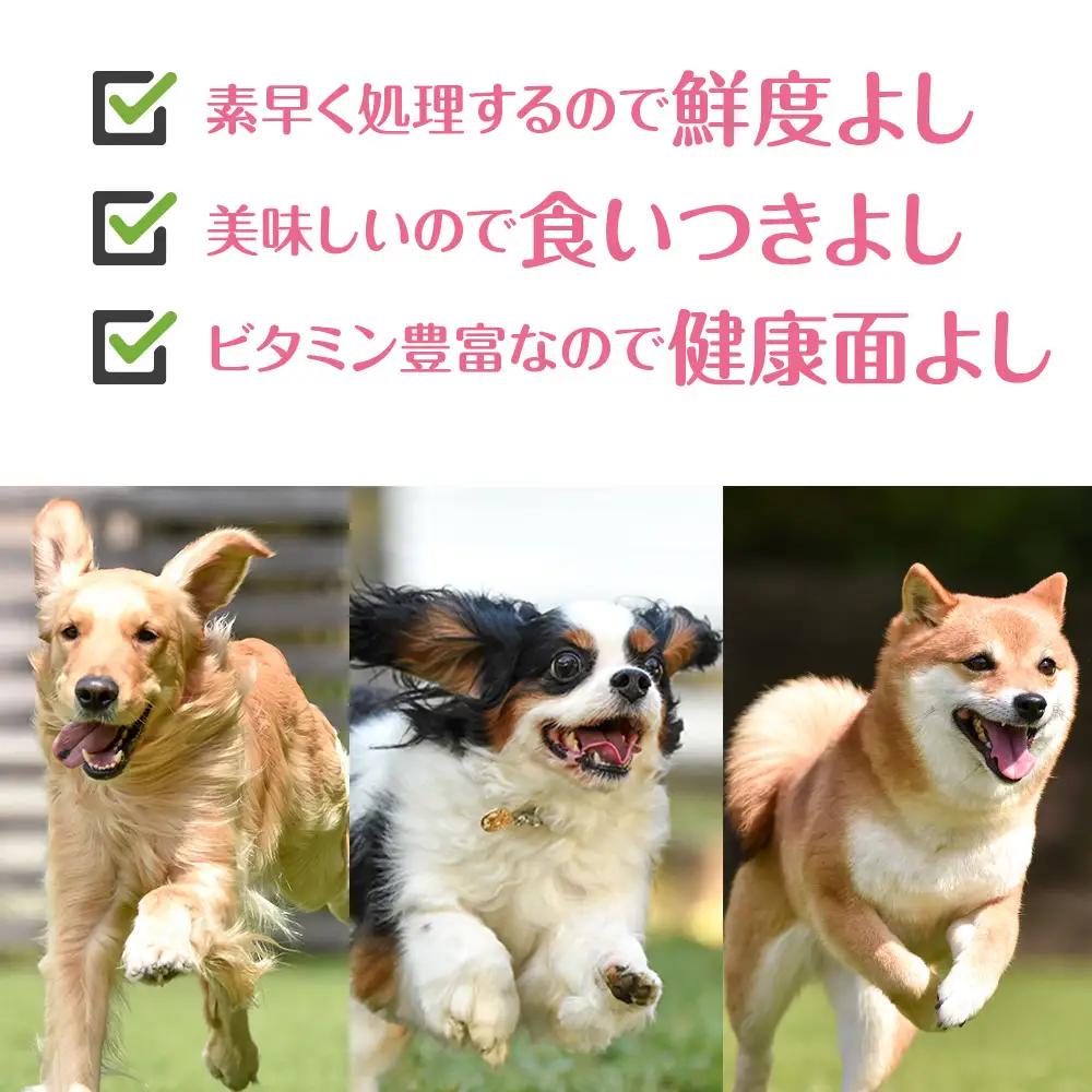 犬 おやつ 無添加 国産 骨 エゾ鹿 ボーン 肩甲骨 (約300g)