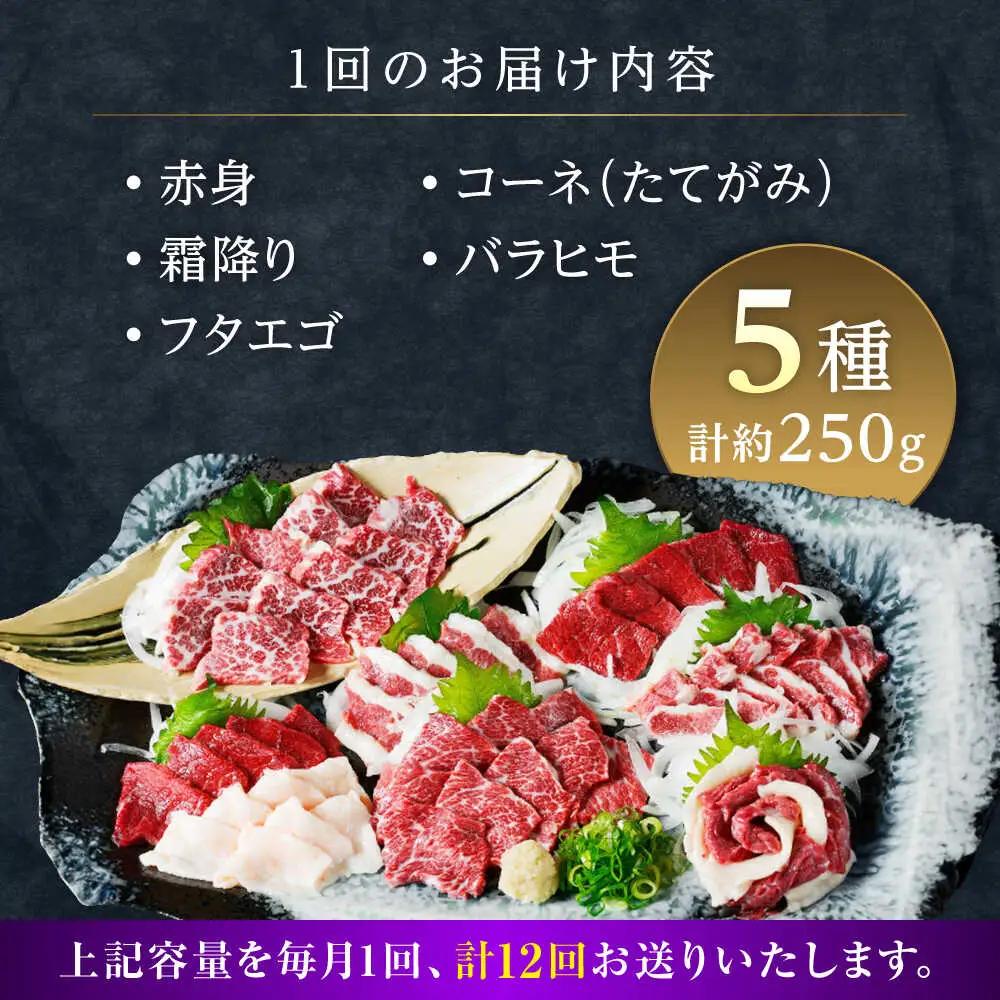 【全12回定期便】5種の馬刺し 盛り合わせセット 5人前 約250g 馬刺し 定期便[AYAT034]