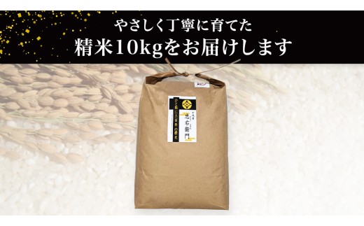 令和8年産・新米 ＜ 10月出荷 ＞ 精米 10kg 三百年 続く農家 の 有機特別栽培米 コシヒカリ 有機栽培 農創 米 こめ コメ ごはん ご飯 精米 白米 国産 茨城県産 おいしい 新生活 プレ