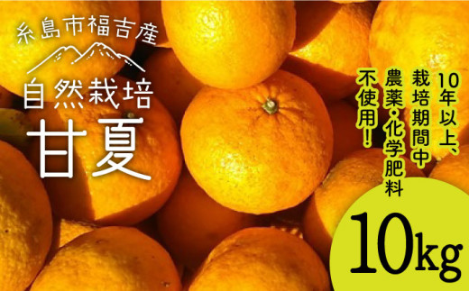 【先行予約受付中】甘夏 10kg 【 農薬 ・ 化学肥料不使用 】【2025年4月上旬より順次発送】糸島市 / 大石ファーム[ATE004]