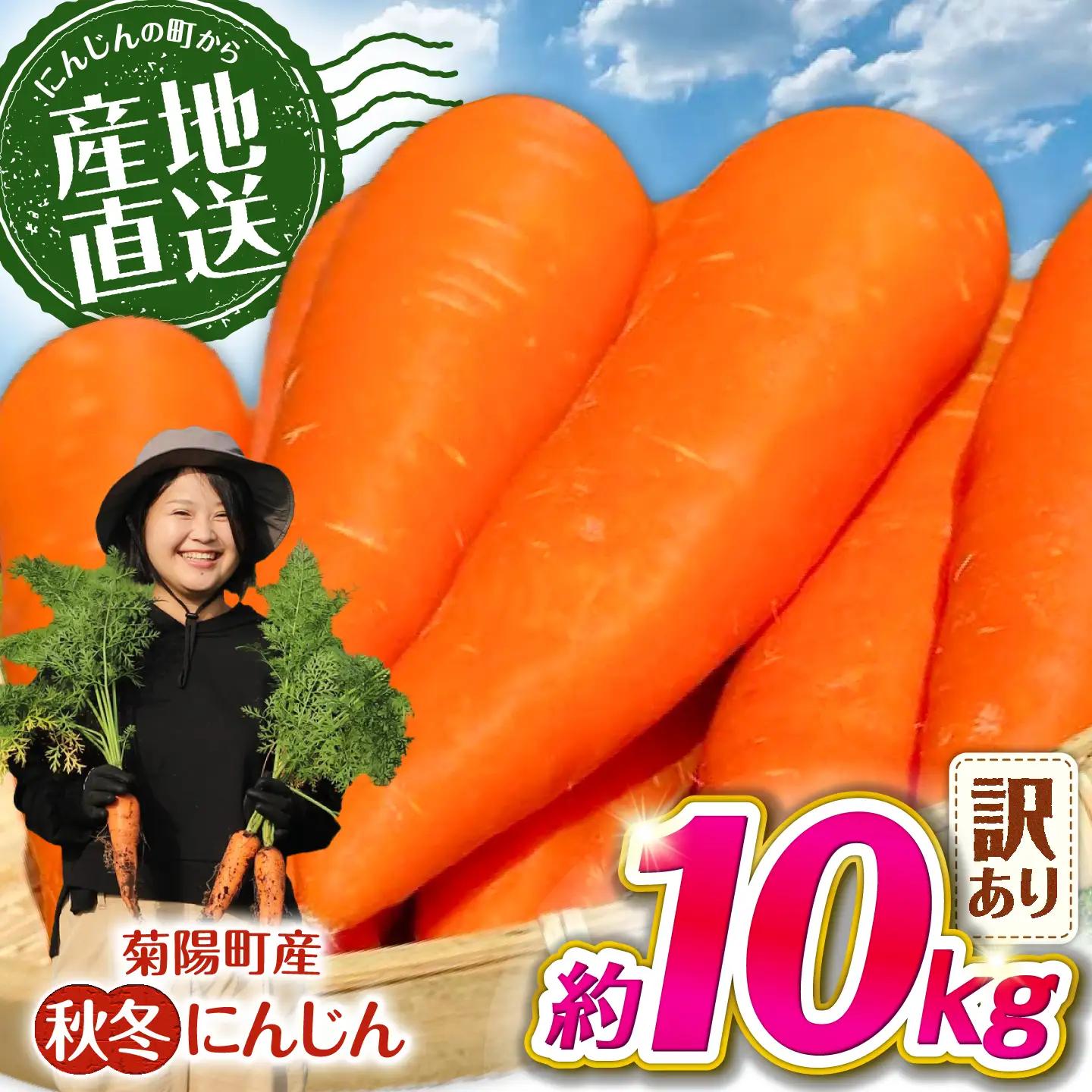 【先行予約】【2026年11月より順次発送】菊陽秋冬にんじん (訳あり) 約10kg / にんじん 菊陽にんじん 秋冬にんじん ニンジン 人参 野菜 熊本 菊陽 【さかもと農園】[BHDL008]