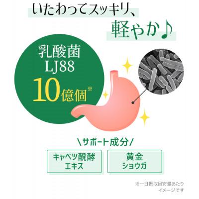 ふるさと納税 鳥栖市 DHC 胃の中の乳酸菌 LJ(エルジェイ)88 30日分 1個(鳥栖市) |  | 01