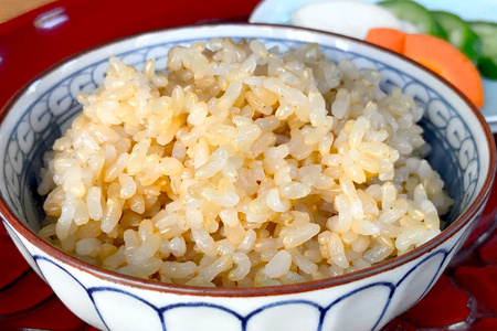 [数量限定] 令和7年度産 特別栽培米 コシヒカリ 玄米10kg (5kg×2袋)｜こしひかり お米 ご飯 ライス 2025年度米 玄米 国産 日光産 産地直送 先行予約 [0706]