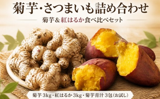 
                  菊芋 きくいも 紅はるか さつまいも 各3kg 食べ比べセット 菊芋青汁3包付 イヌリン 食物繊維 土付き 焼き芋 ホクホク しっとり 甘い 掘りたて 新鮮 先行予約 11月上旬以降発送 産地直送 農家直送 野菜 国産 八〇八 神奈川 湘南 藤沢
                