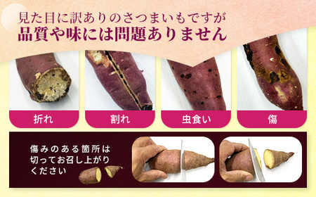 【訳あり】生芋10kg　SSサイズ～2Lサイズ（サイズバラ）　※離島への配送不可　※2024年11月下旬～2025年9月下旬頃に順次発送予定