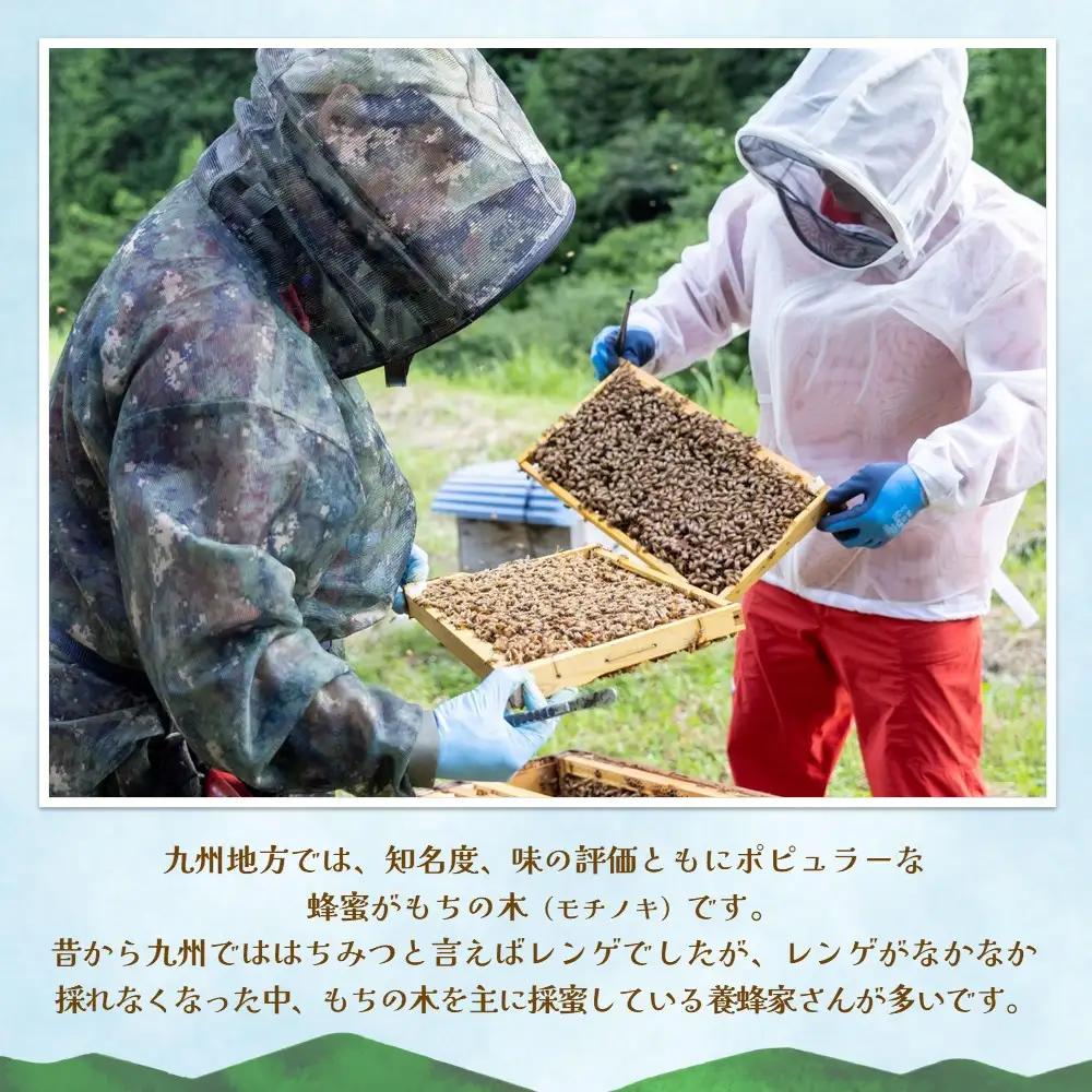 【2か月定期便】みよしのハチミツ(もちの木) 220g×1本(計220g×2本) K063420
