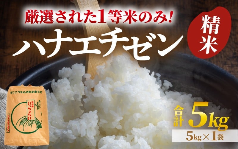 
            【先行予約】【令和8年産・新米】【一等米】ハナエチゼン 精米 5kg ×1袋《発送直前精米！》  ／ 福井県産 ブランド米 ご飯 白米 お米 コメ 新鮮 大賞 受賞 新米 ※2026年9月上旬以降順次発送予定 [aw012-a029]
          
