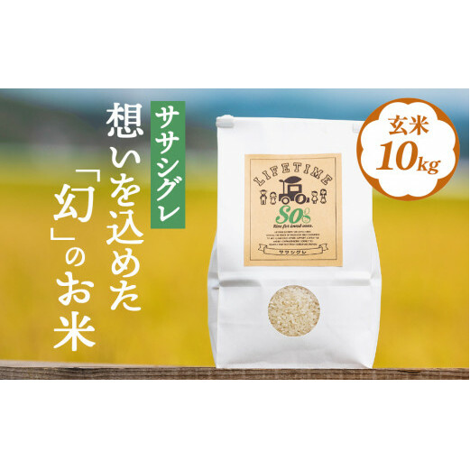 【ササシグレ】米 ササシグレ 玄米10kg 農薬不使用 化学肥料不使用 ささしぐれ お米 コメ こめ おこめ ご飯 ごはん 希少 優しい 甘み