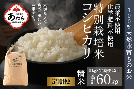 【令和6年産 新米】《定期便12回》コシヒカリ 精米 5kg （計60kg）特別栽培米 化学肥料不使用  ＜温度と湿度を常時管理し新鮮米を出荷！＞ / 伊与衛門農園の特別栽培米 高品質 鮮度抜群 福井県 あわら市産 ブランド米 R6 北陸 白米 お米 ご飯