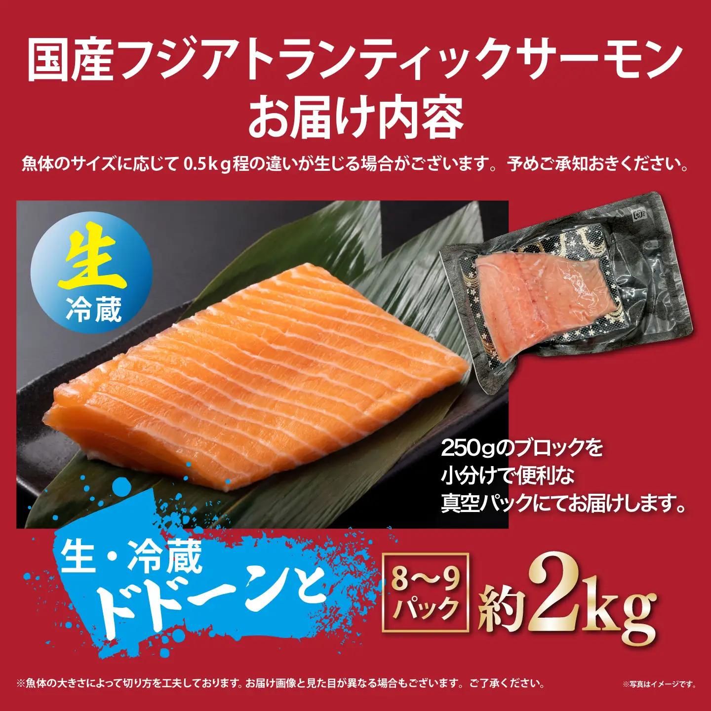 サーモン 約2kg 小分け 8～9P 国産サーモン