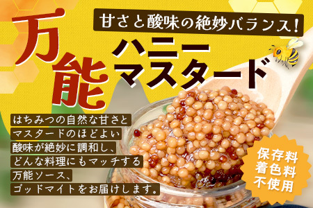 【椎葉村産のはちみつ】を使用したハニーマスタード！ゴッドマイト 90g × 2個 計 180g | ハニーマスタード マスタード 90g 180g 2個 はちみつ 蜂蜜 粒マスタード 万能ソース 宮崎