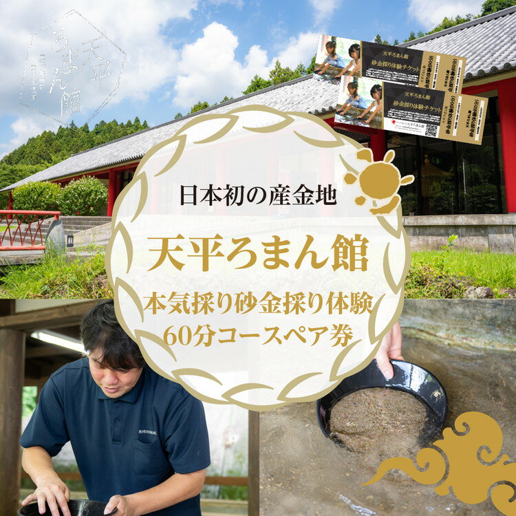 【ふるさと納税】日本初の産金地・天平ろまん館本気採り砂金採り体験60分コースペア券