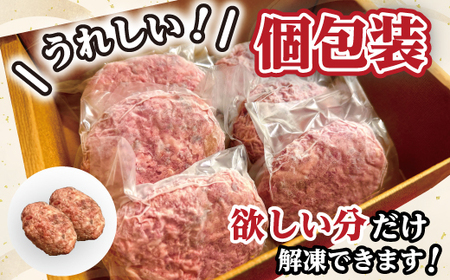 近江牛１００％　プレミアム生ハンバーグ1.2kg（約120g×10個）【FO19SM】