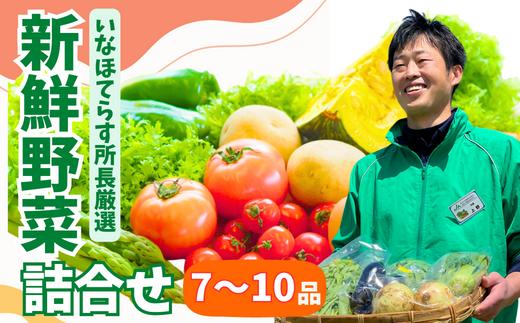 
季節の野菜詰合せセット 7~10品【 野菜セット 詰め合わせ 季節 旬 新鮮野菜 埼玉 】
