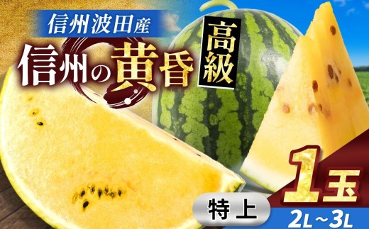 【先行受付】信州波田産 甘いスイカ！ 信州の黄昏 ( 金色羅皇 ) 【特上】 2L～3Lサイズ 1玉｜ふるさと納税 長野県 信州 松本 果物 フルーツ すいか スイカ 西瓜 大きい 特別 珍しい 黄色スイカ 贈答 季節限定 甘い くだもの ふるーつ