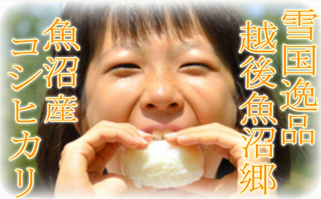 【令和7年産　新米先行受付】雪国逸品 精米2kg 越後魚沼郷 魚沼産コシヒカリ 米 コメ こめ お米 おこめ 白米 こしひかり 新潟県産 人気 お取り寄せ