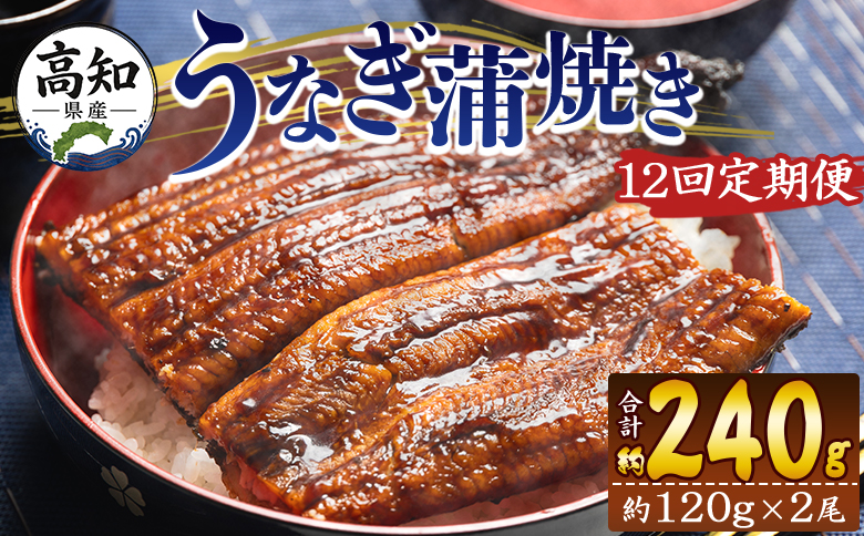 【１２回定期便】高知県産養殖うなぎ蒲焼き 100～120g 2尾 うなぎ 魚介 国産 海鮮 魚 かばやき 鰻 ウナギ 惣菜 おかず お手軽 加工品 加工食品 冷凍 Wfb-0040