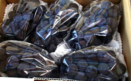 2024年発送 先行予約 訳あり 種あり巨峰 約3.8kg（9～13房）