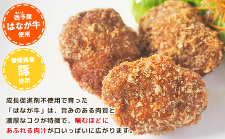 ＜はなが牛を使用した合挽メンチカツ 計6個＞ 3個入り オリジナル おつまみ 手作り 肉肉しい お肉 牛肉 はなが牛 国産 メンチカツ 肉加工品 冷凍食品 揚げ物 おかず 夕食 特産品 ゆうぼく 愛媛