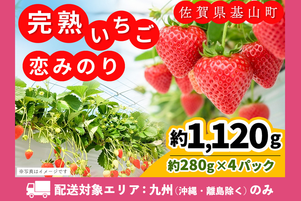 【九州内配送】【農場直送いちご】恋みのり(約280g×4P)【ふるさと納税 基山町産 イチゴ 朝採れ 完熟果 KBCテレビ「ふるさとwish」で紹介されました】K100028