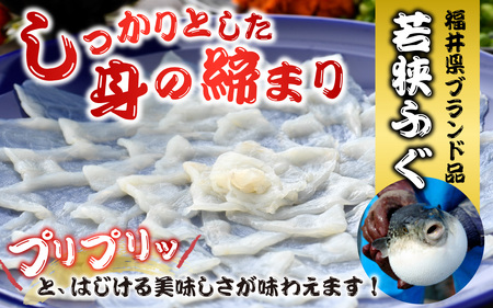 【着日指定】【冷蔵でお届け】国産　若狭ふぐてっさセット 8人前