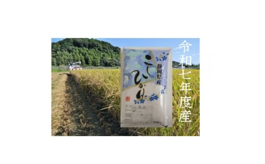 ＜毎月定期便＞静岡こしひかり(精米)10kg×1袋全12回【4076030】