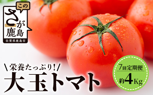 
                  【7回定期便】【先行受付】2026年12月下旬より順次発送予定｜とりこになるトマト 3.5kg以上｜トマト 野菜 農家直送 ギフト 人気｜佐賀県鹿島市｜たにぐちファーム Ricotomato（リコトマト）～とりこになるトマト～ E-108
                