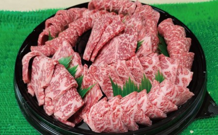 牛肉 肉 牛 焼き肉 和牛 牛 贈り物 冷凍 / プレミアム熊野牛 焼肉 ４８０ｇ【kbs005】