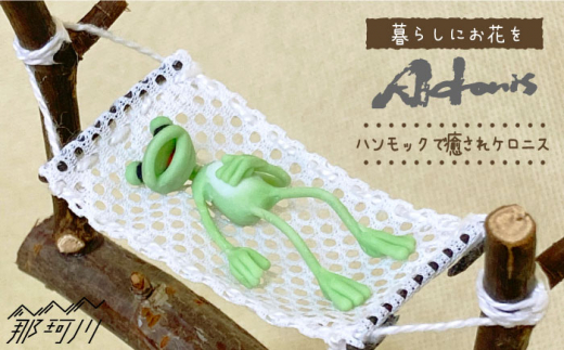 【暮らしにお花を】ハンモックで癒されケロニス＜フラワーデザイン・アドニス＞那珂川市 [GBN010]