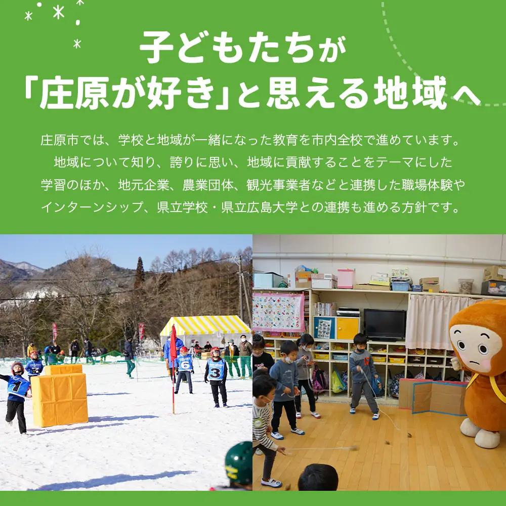 返礼品なしの寄附（寄付金額 300,000円）広島県庄原市の未来の為の応援寄附