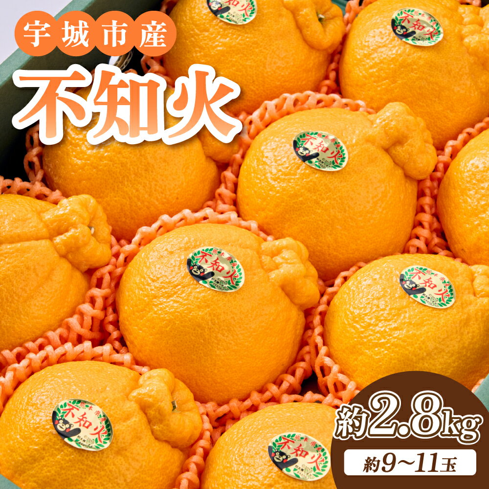【ふるさと納税】 不知火 約2.8kg (9～11玉)【2026年2月上旬-2026年5月上旬発送予定】 しらぬい みかん 蜜柑 柑橘 常温 熊本県産 国産 九州 熊本県 宇城市 川田果樹園