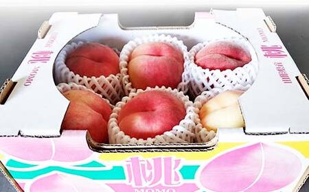 《2026年産先行受付》 山形県産 白桃 品数・玉数おまかせ 秀品 1.5kg FSY-2519