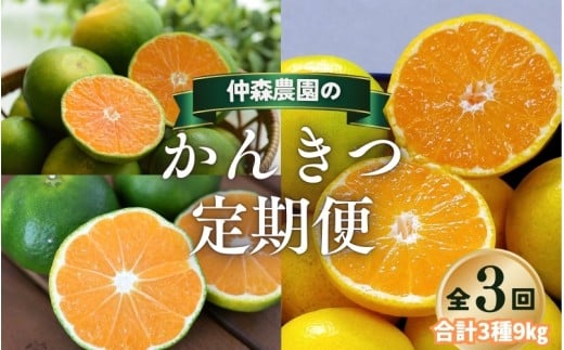【全3回】仲森農園の柑橘定期便 合計3種 9kg 【超極早生温州「みえ紀南一号」・極早生温州・由良早生】 みかん ミカン 蜜柑 温州みかん 温州ミカン 柑橘 みかん定期便 フルーツ定期便 果物定期便 柑橘定期便 フルーツ 果物 くだもの 甘い 旬 人気 産地直送 三重県 熊野市【nkmr-tkb0007】