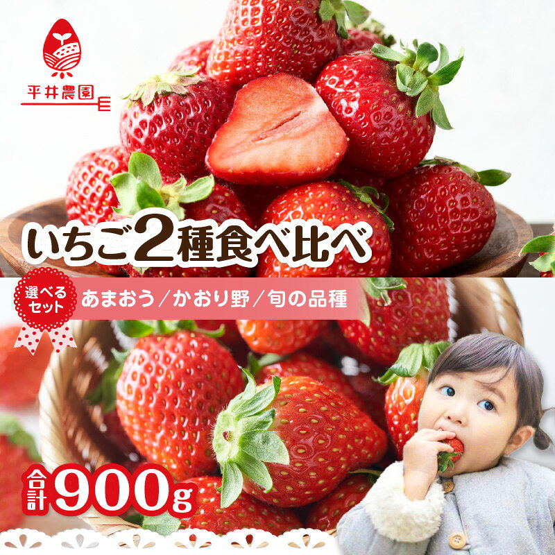 【ふるさと納税】【選べるセット】いちご食べ比べセット （合計900g）｜2027年1月下旬～順次発送＜ひらい観光農園＞ あまおう かおり野 いちご 苺 イチゴ フルーツ 果物 福岡県産 食べ比べ セット 産地直送 数量限定 期間限定 くだもの 福岡県 八女市