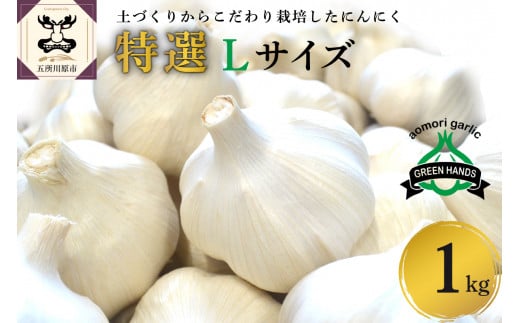 【先行受付】【8月下旬より順次発送】青森県産にんにく（特選品）Lサイズ1kg