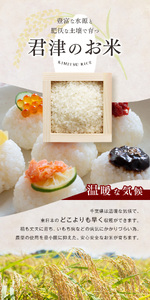 【 定期便 3回 】精米 令和7年産 君津市小山野産 粒すけ 5kg | あかかげ農園