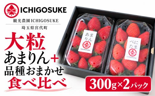 いちご あまりん ＋お任せ300g×2先行予約 | アマリン 苺 イチゴ 宮代町