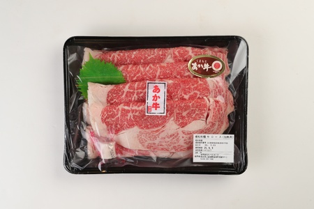 牛肉 【12ヶ月定期便】あか牛 すきやき しゃぶしゃぶ用サーロイン肉1kg(500g×2)、馬刺し200g(赤身100g、霜降り50g、たてがみ50g)セット 国産牛肉 熊本県産牛肉 厳選牛肉 ヘルシ