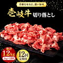 【ふるさと納税】【全12回定期便】 壱岐牛 切り落とし 1kg《壱岐市》【株式会社イチヤマ】[JFE045] 冷凍配送 黒毛和牛 A5ランク 定期便 赤身 肉 牛肉 切落し 牛丼 煮物 煮込み 煮込み料理 すき焼き しゃぶしゃぶ 432000 432000円 すき焼用 しゃぶしゃぶ用 切り落とし