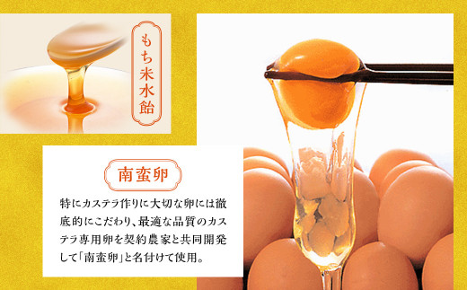 【全6回定期便】特撰カステラ1号／ かすてら スイーツ お菓子 菓子 和菓子 ギフト 贈り物 お土産 長崎 文明堂 総本店