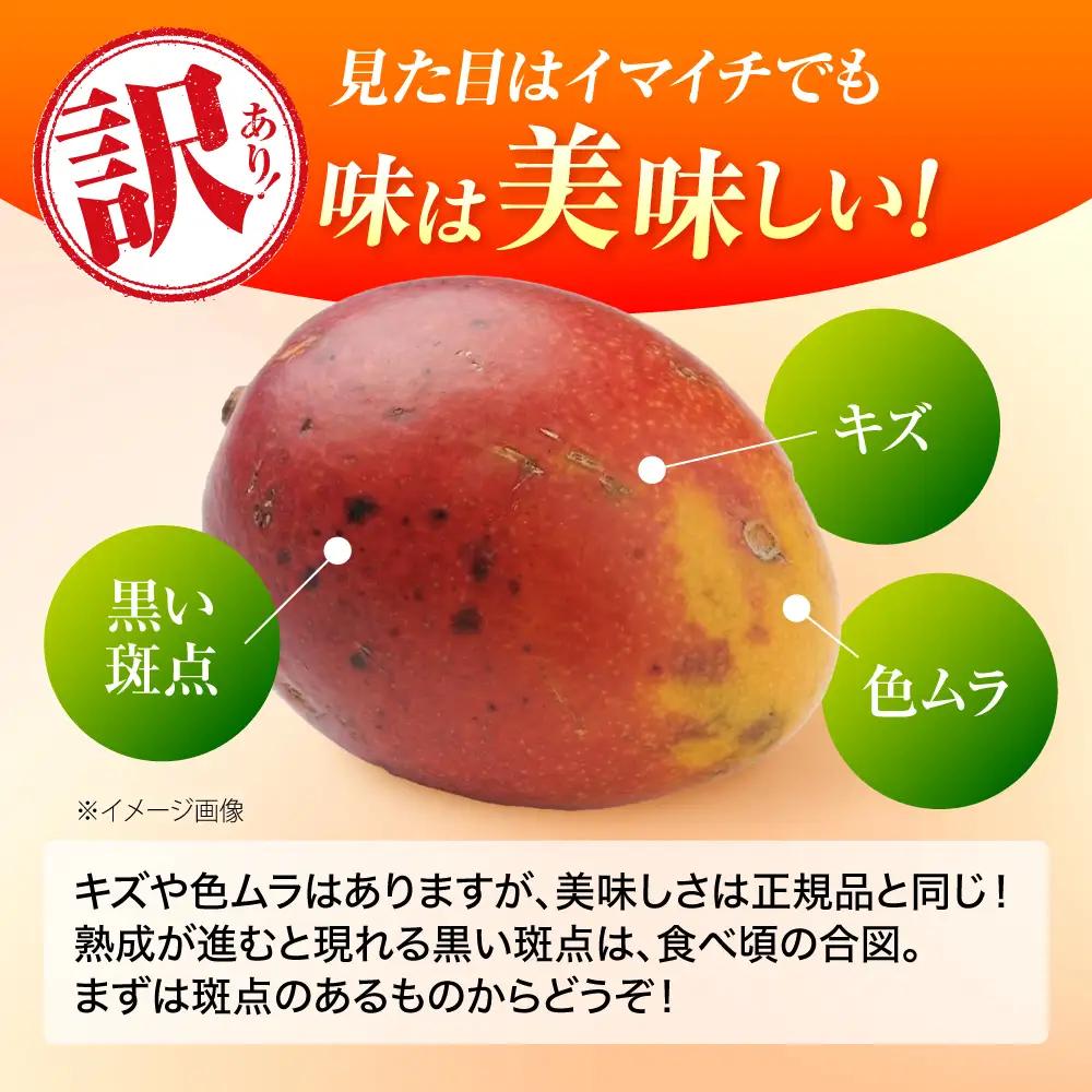 マンゴー 【2027年発送】訳あり 完熟マンゴー 約3kg (3-6玉×2箱) BCAA003