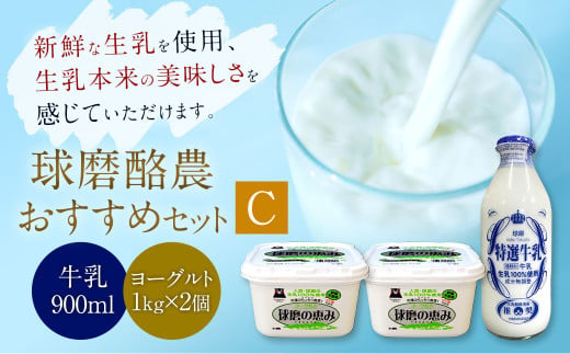 球磨酪農おすすめセットC （瓶牛乳&ヨーグルト砂糖不使用×2個） 乳製品 プレーンヨーグルト 牛乳 生乳 ヨーグルト 砂糖不使用 セット