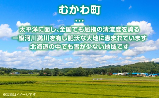 （無洗米３００ｇ×１０袋）ホクレンゆめぴりか 【ふるさと納税 人気 おすすめ ランキング 米 コメ こめ お米 ゆめぴりか ななつぼし ご飯 白米 精米 無洗米 国産 ごはん 白飯 セット 小分け 食
