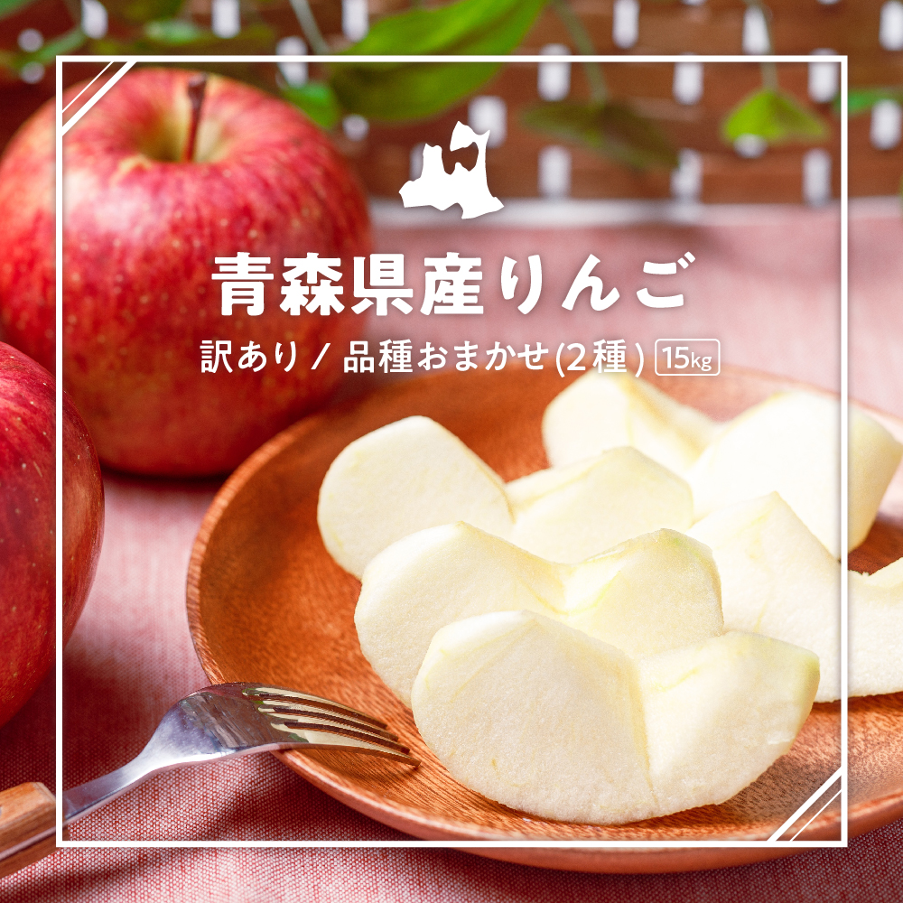 【2027年2月上旬発送】 【訳あり】 旬の美味しいりんご 約15kg青森産 【おまかせ2品種】