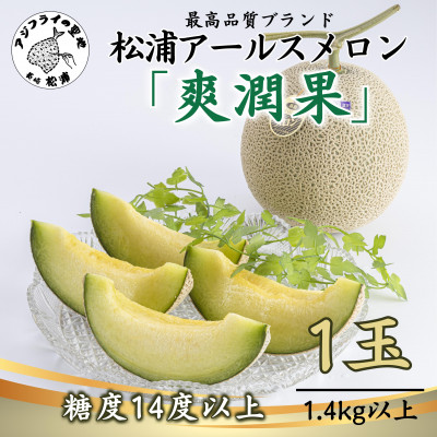 高貴で芳醇な香りと濃厚でとろける甘みの　　松浦アールスメロン「爽潤果(そうじゅんか)」1玉【1417934】